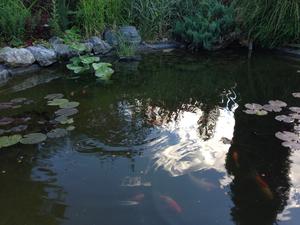 Личное море